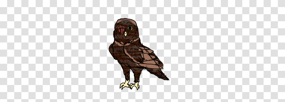 Image, Owl, Bird, Animal Transparent Png