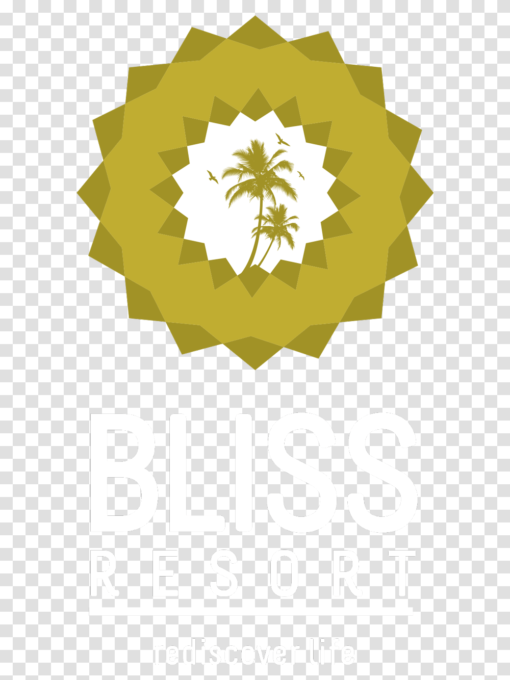 Image Palm Tree Vector, Poster Transparent Png