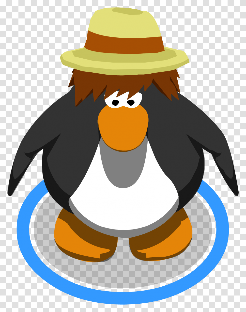 Image, Penguin, Bird, Animal, King Penguin Transparent Png