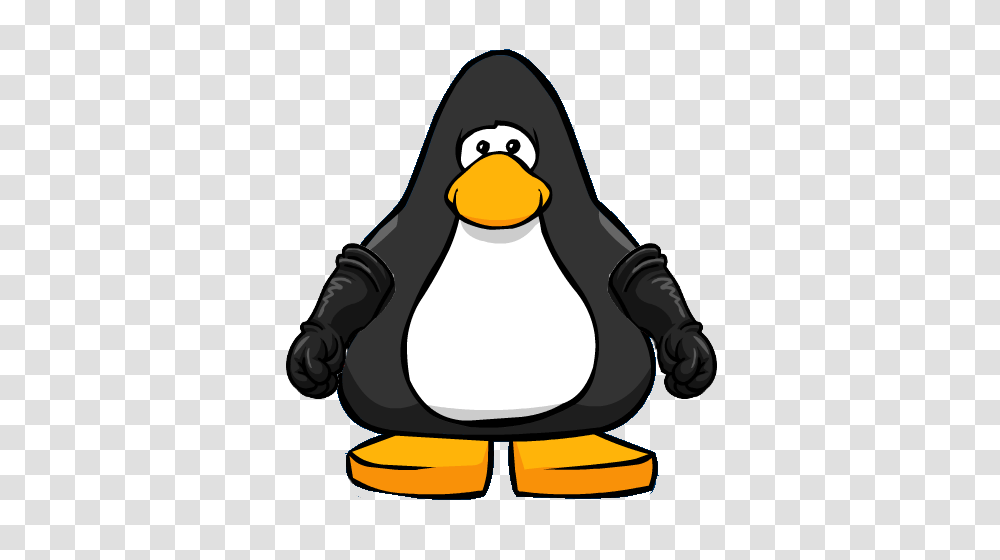 Image, Penguin, Bird, Animal, King Penguin Transparent Png