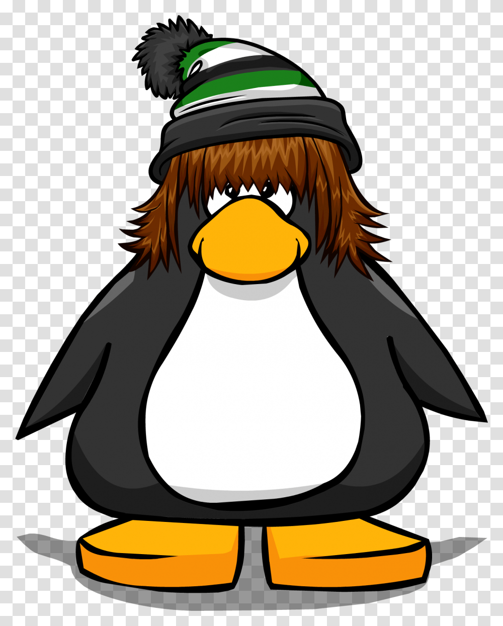 Image, Penguin, Bird, Animal, King Penguin Transparent Png