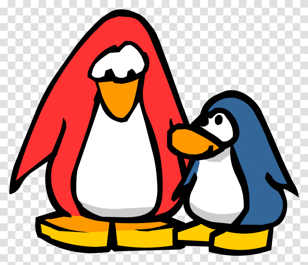 Image, Penguin, Bird, Animal, King Penguin Transparent Png