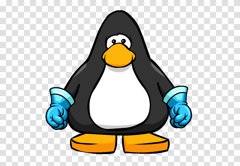 Image, Penguin, Bird, Animal, King Penguin Transparent Png