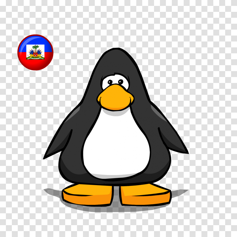 Image, Penguin, Bird, Animal, King Penguin Transparent Png