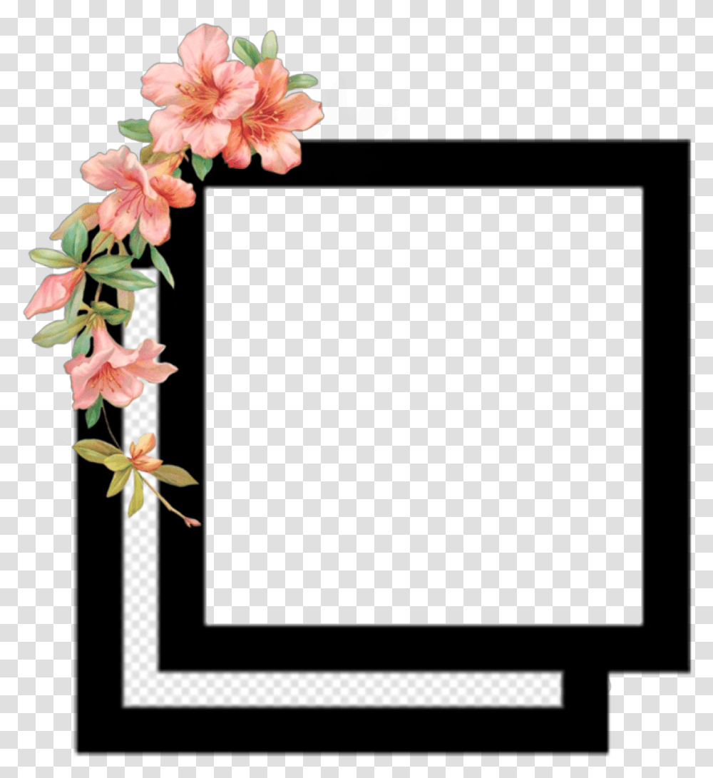 Image Photography Desktop Wallpaper Video Editing Square Overlays, Plant, Flower, Blossom, Petal Transparent Png