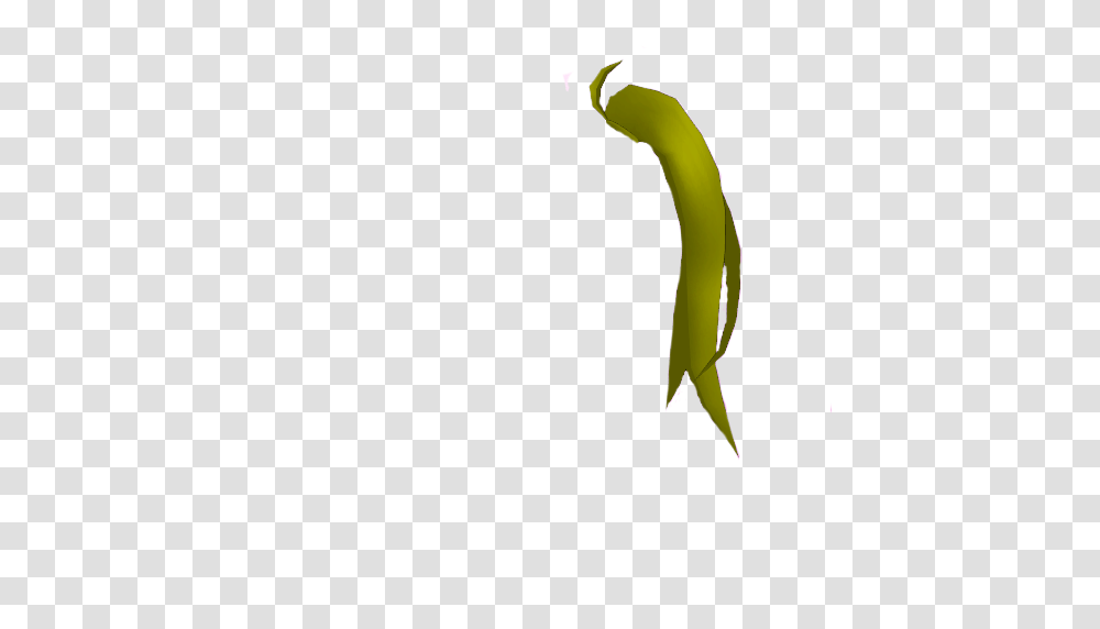 Image, Plant, Banana, Fruit, Food Transparent Png