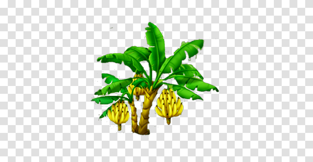 Image, Plant, Banana, Fruit, Food Transparent Png