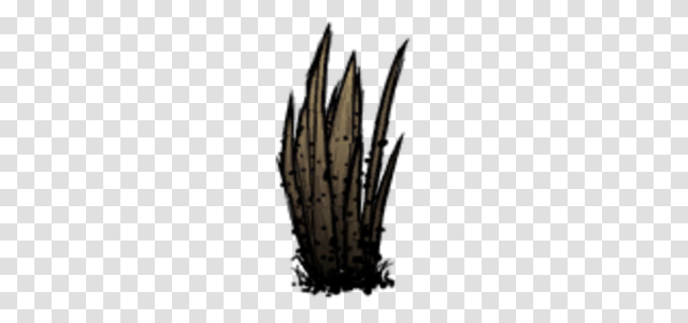 Image, Plant, Cactus, Rug Transparent Png