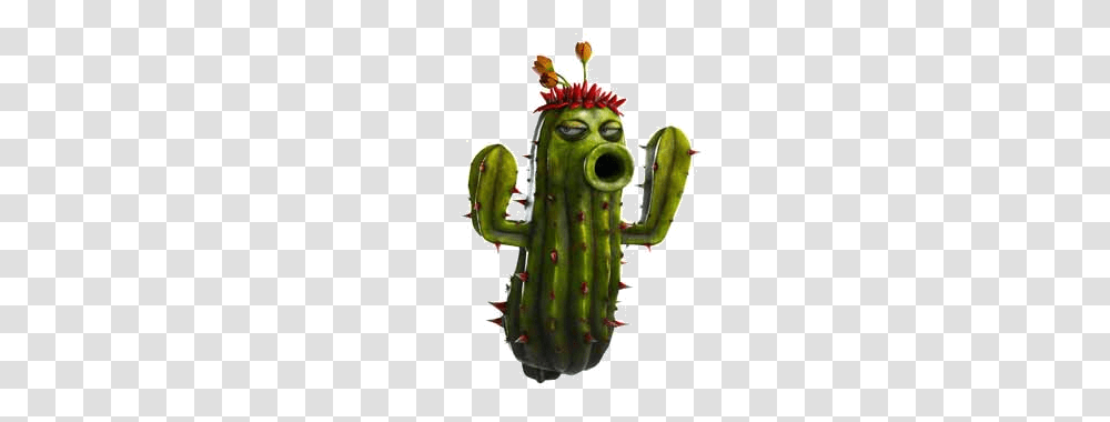 Image, Plant, Cactus Transparent Png