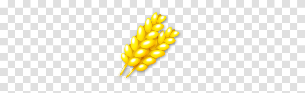 Image, Plant, Corn, Vegetable, Food Transparent Png