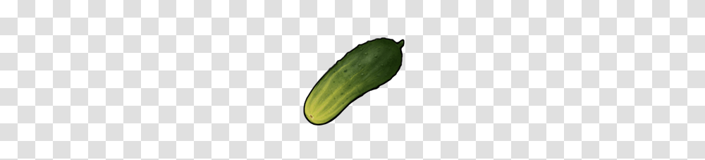 Image, Plant, Cucumber, Vegetable, Food Transparent Png