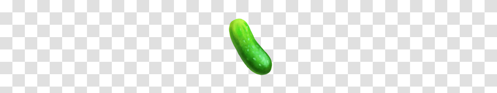 Image, Plant, Cucumber, Vegetable, Food Transparent Png