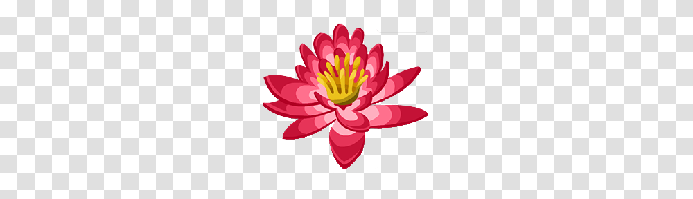 Image, Plant, Dahlia, Flower, Blossom Transparent Png