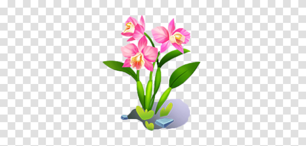 Image, Plant, Flower, Blossom, Amaryllis Transparent Png
