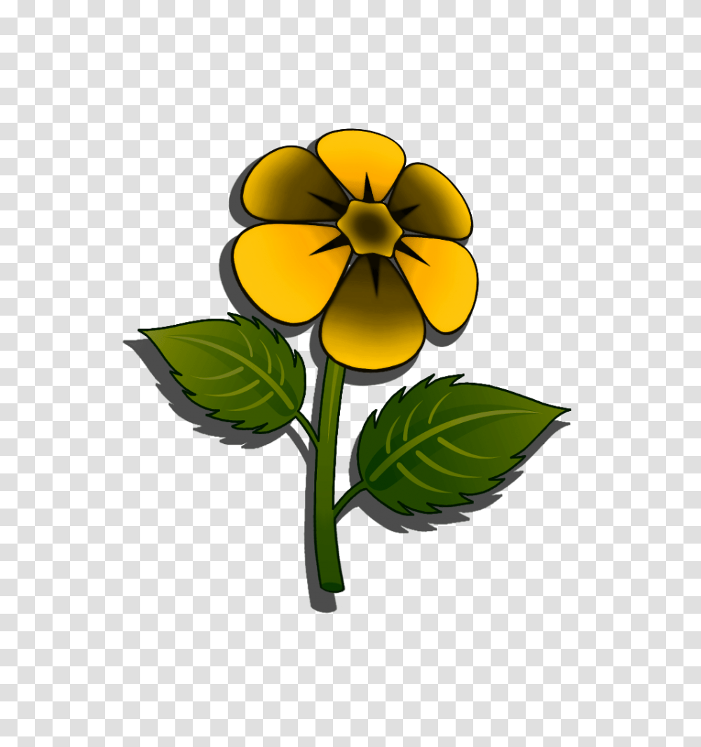 Image, Plant, Flower, Blossom, Anemone Transparent Png
