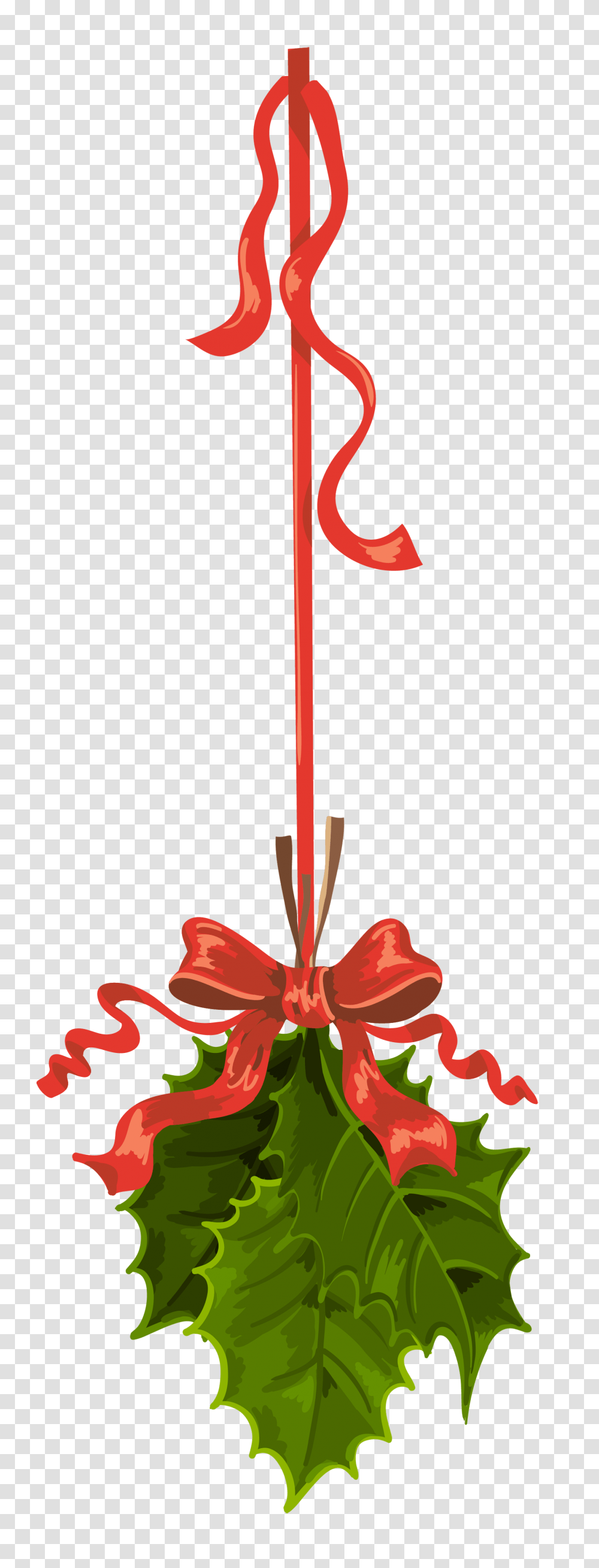 Image, Plant, Flower, Blossom Transparent Png