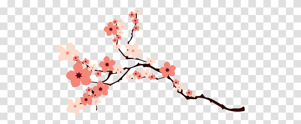 Image, Plant, Flower, Blossom, Cherry Blossom Transparent Png