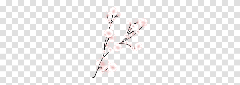 Image, Plant, Flower, Blossom, Cherry Blossom Transparent Png