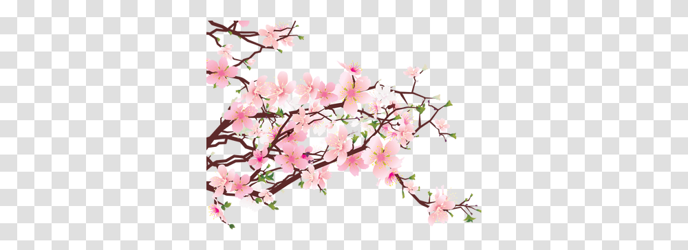 Image, Plant, Flower, Blossom, Cherry Blossom Transparent Png