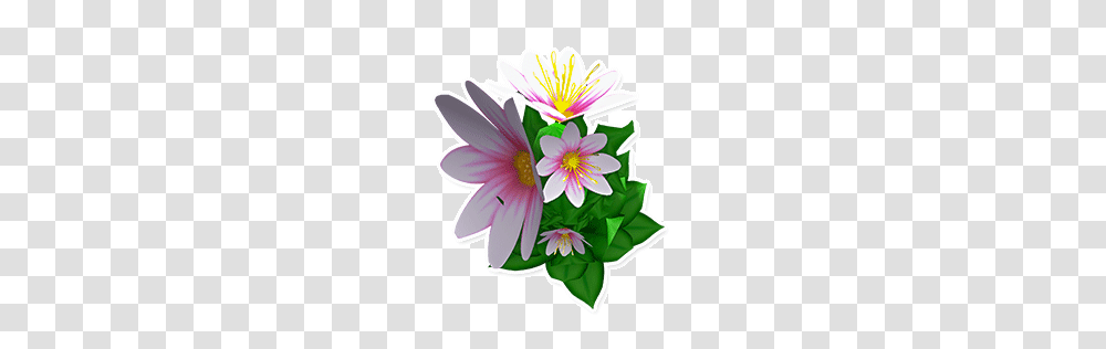 Image, Plant, Flower, Blossom, Flower Bouquet Transparent Png