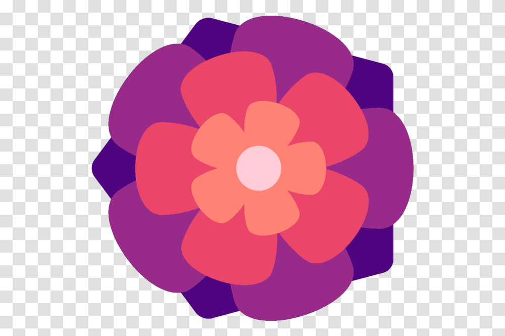 Image, Plant, Flower, Blossom, Petal Transparent Png