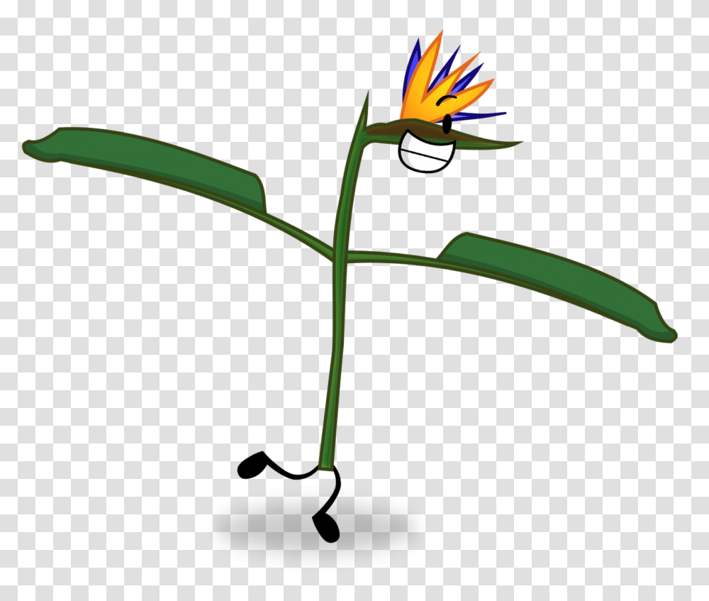 Image, Plant, Flower, Green, Light Transparent Png