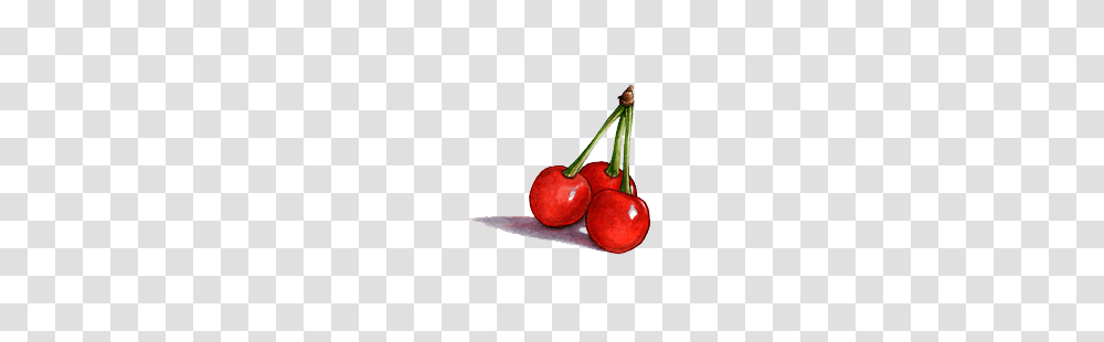 Image, Plant, Fruit, Food, Cherry Transparent Png