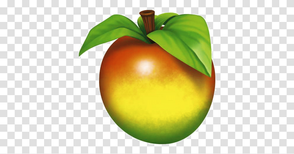 Image, Plant, Fruit, Food, Lamp Transparent Png