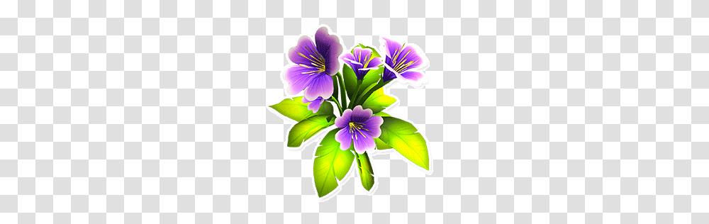 Image, Plant, Geranium, Flower, Blossom Transparent Png