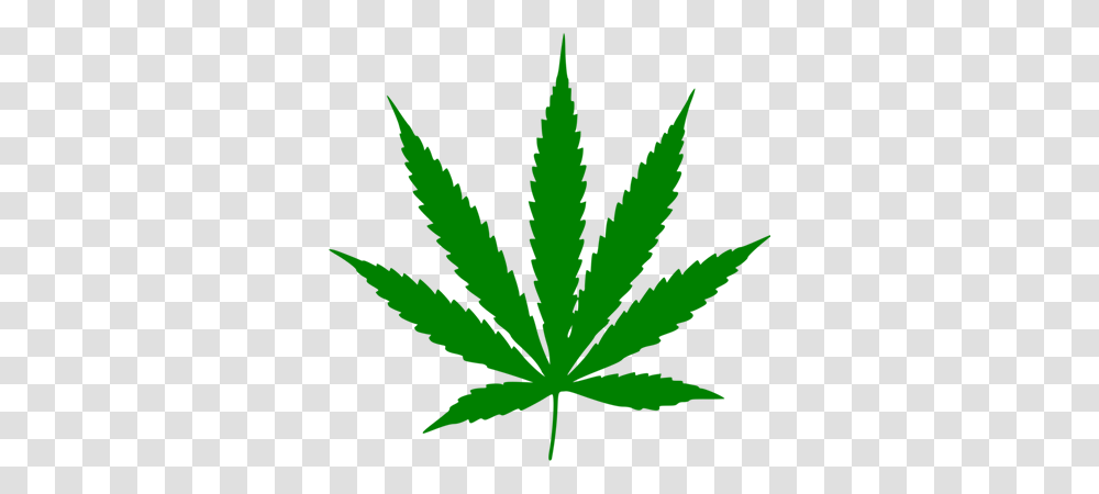 Image, Plant, Leaf, Hemp, Weed Transparent Png