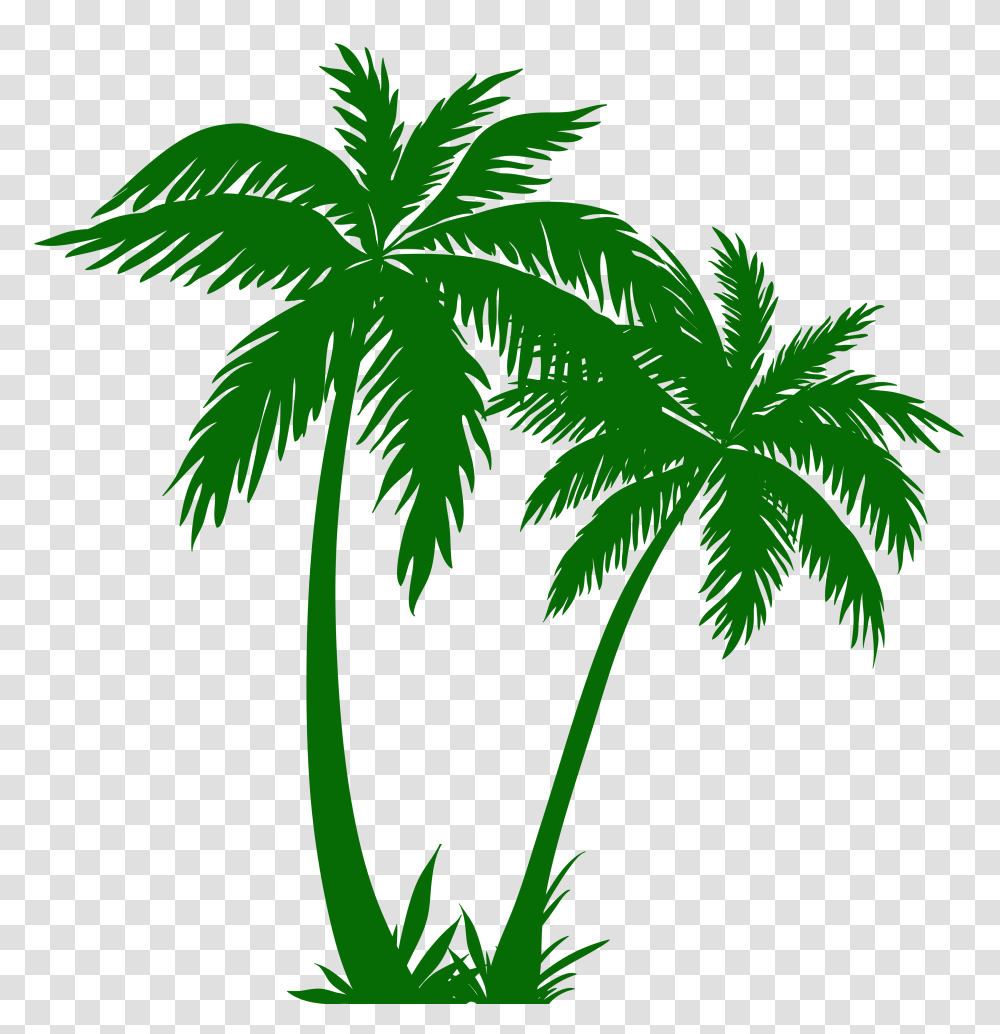 Image, Plant, Leaf, Tree, Palm Tree Transparent Png