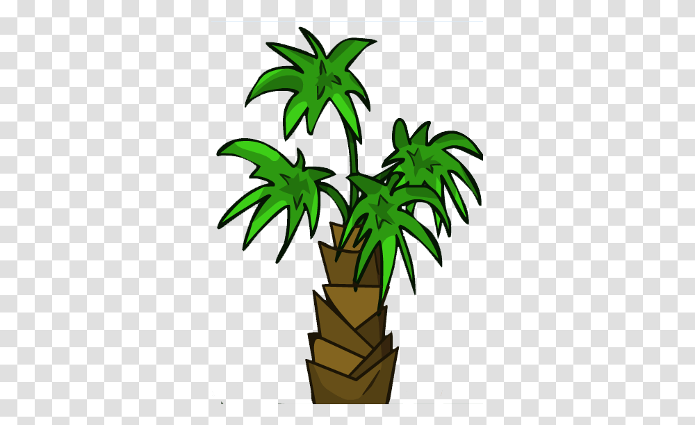 Image, Plant, Palm Tree, Arecaceae, Leaf Transparent Png