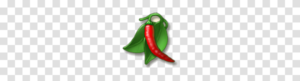 Image, Plant, Pepper, Vegetable, Food Transparent Png