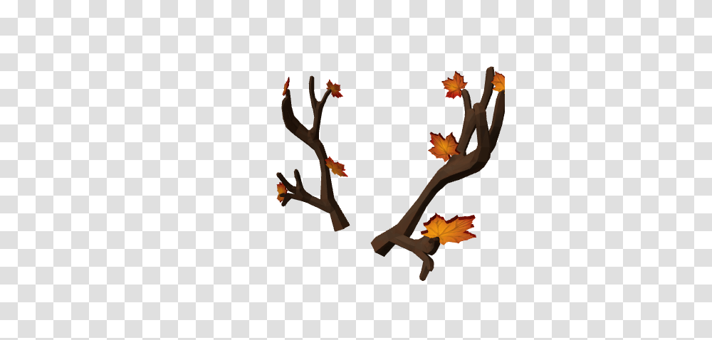 Image, Plant, Person, Tree, Deer Transparent Png