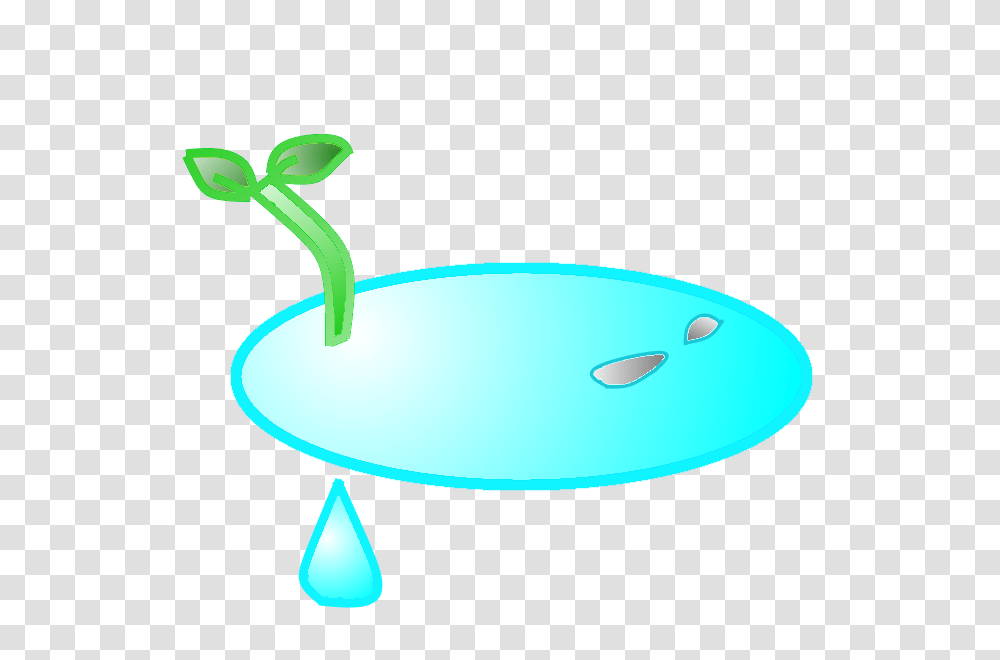 Image, Plant, Sprout, Droplet Transparent Png