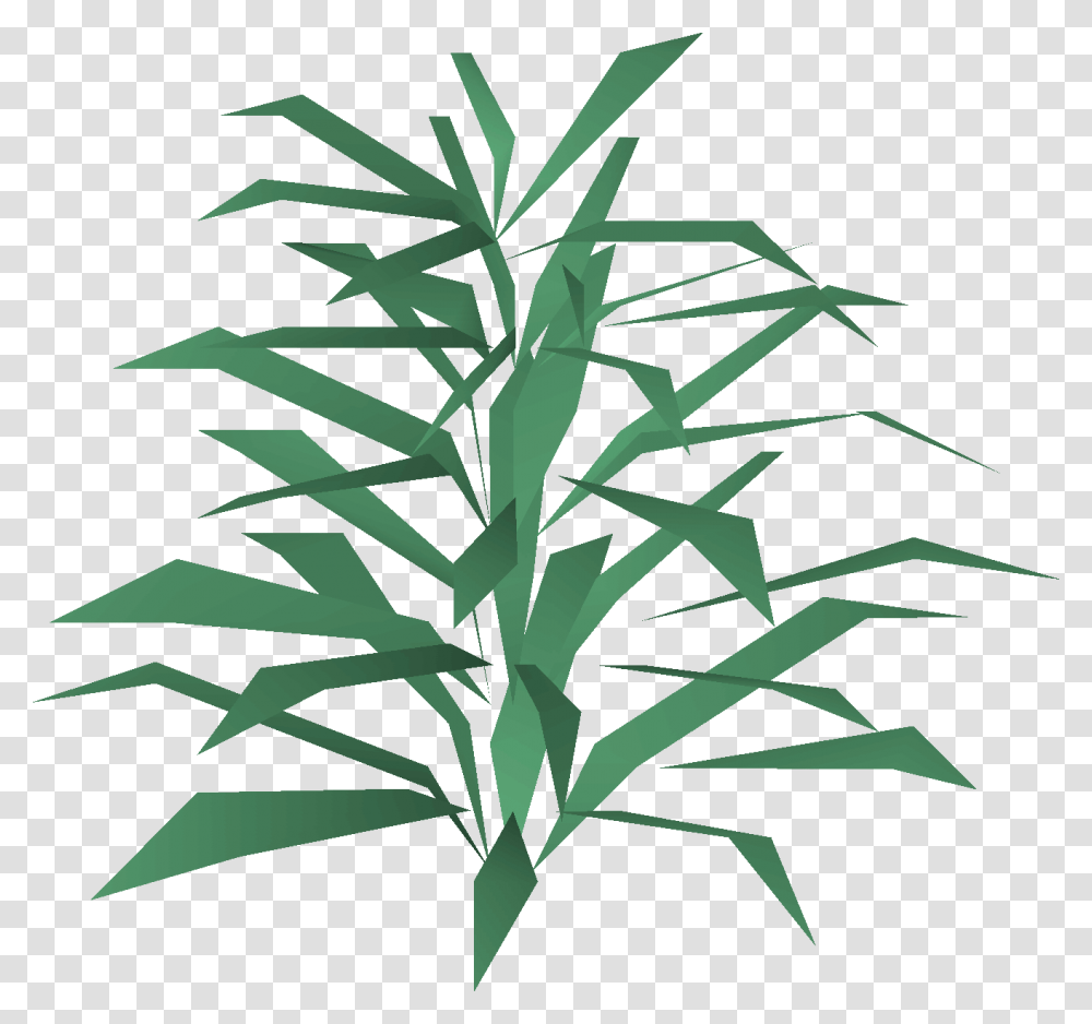 Image, Plant, Tree, Bamboo Transparent Png