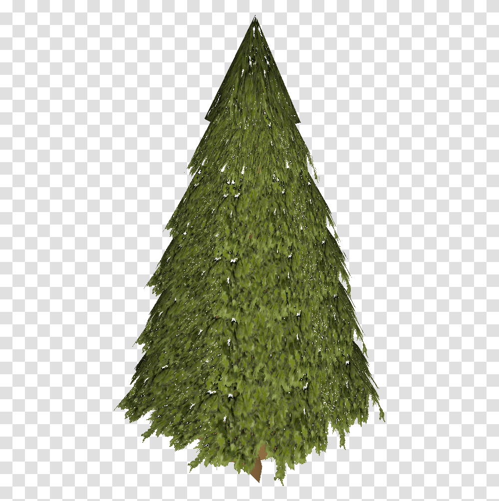 Image, Plant, Tree, Christmas Tree, Ornament Transparent Png