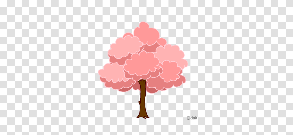 Image, Plant, Tree, Flower, Blossom Transparent Png