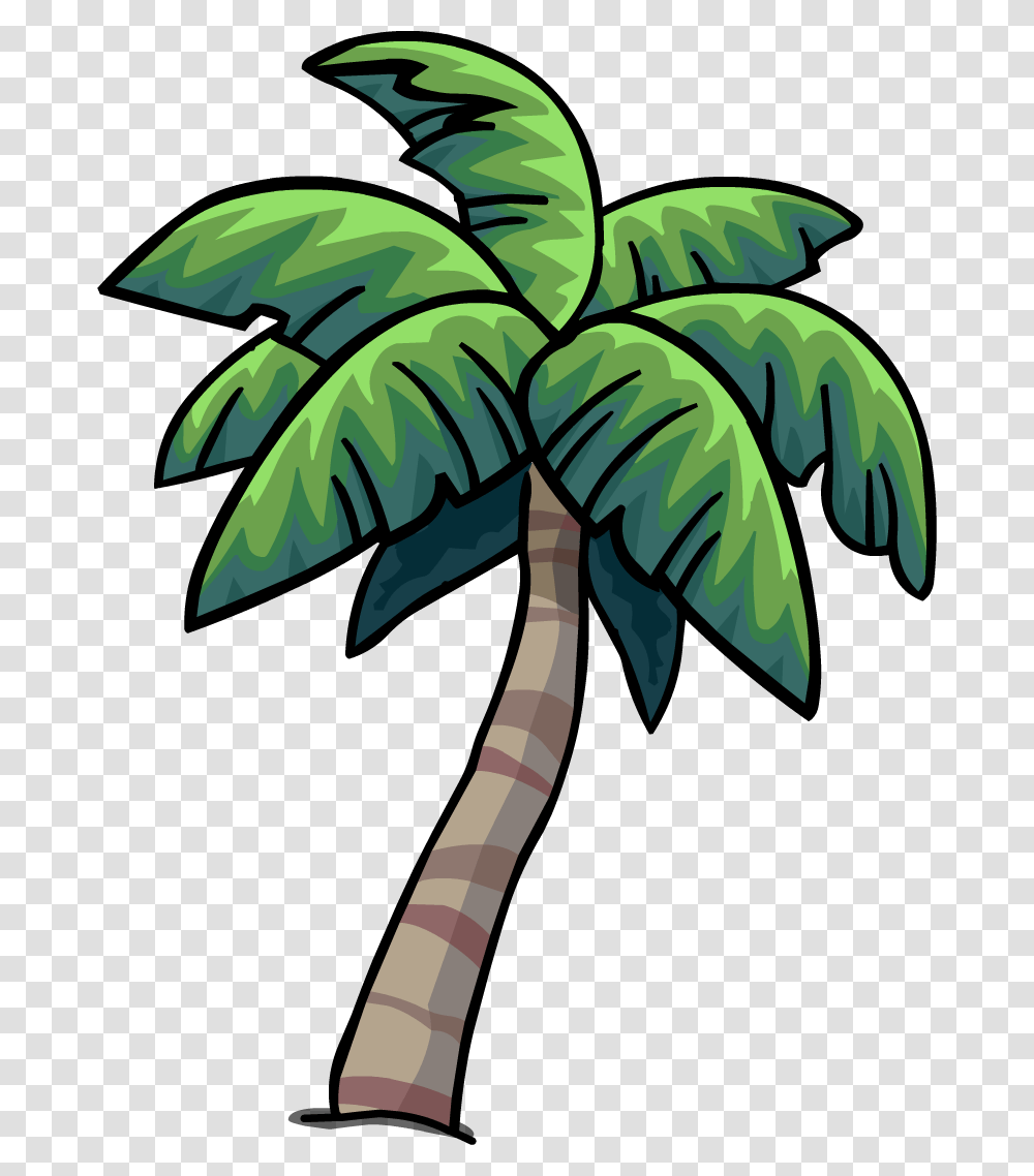 Image, Plant, Tree, Palm Tree, Arecaceae Transparent Png
