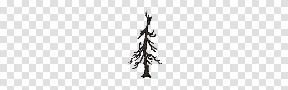 Image, Plant, Tree, Spire, Tower Transparent Png