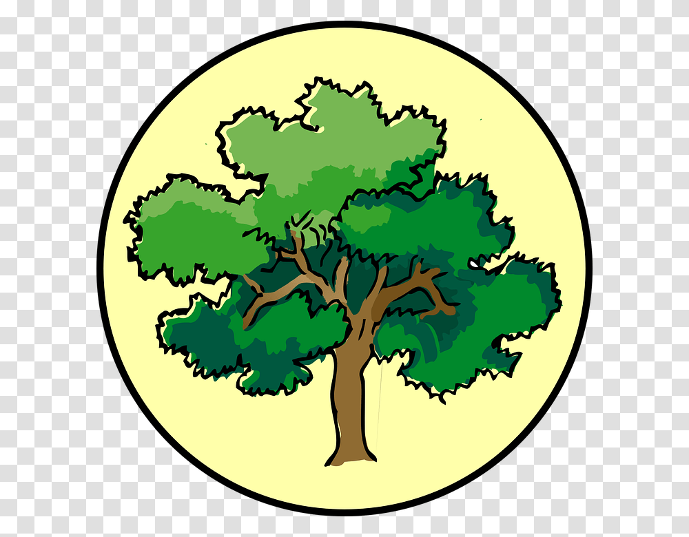 Image, Plant, Tree, Vegetation, Food Transparent Png