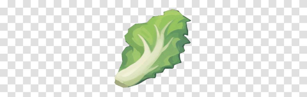 Image, Plant, Vegetable, Food, Lettuce Transparent Png