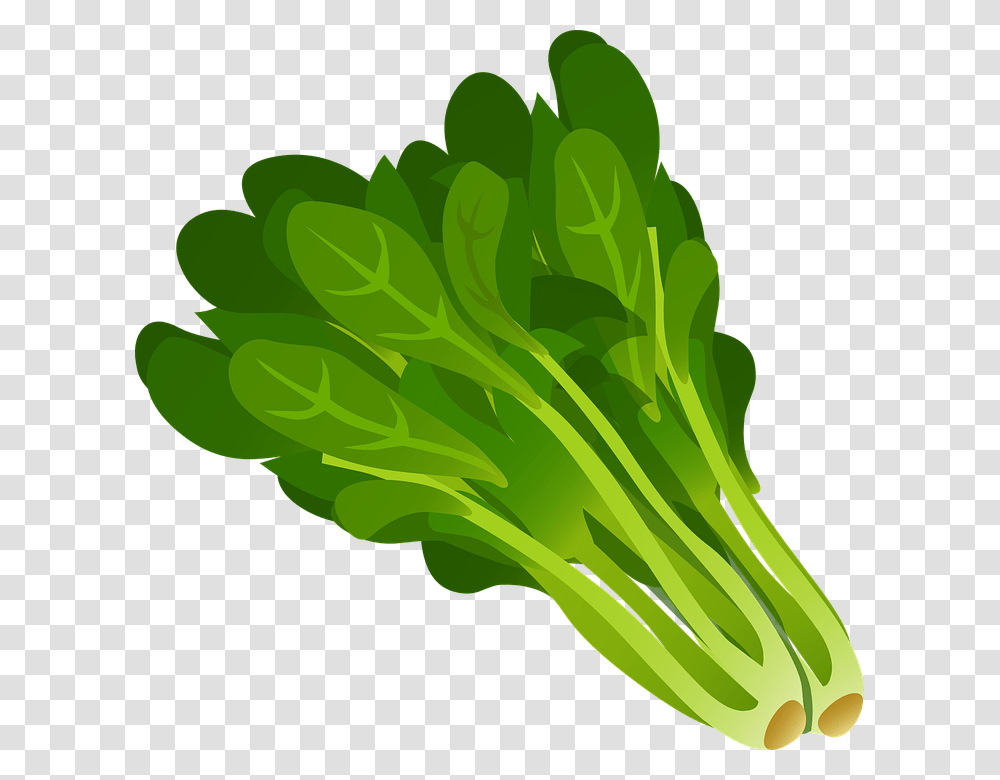 Image, Plant, Vegetable, Food, Spinach Transparent Png