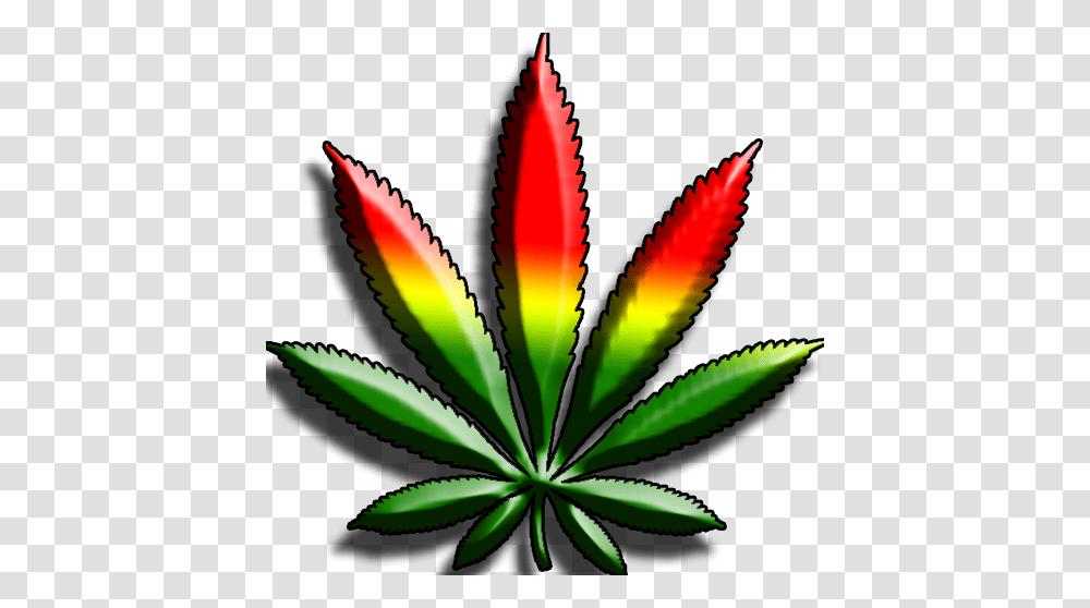 Image, Plant, Weed, Hemp, Flower Transparent Png