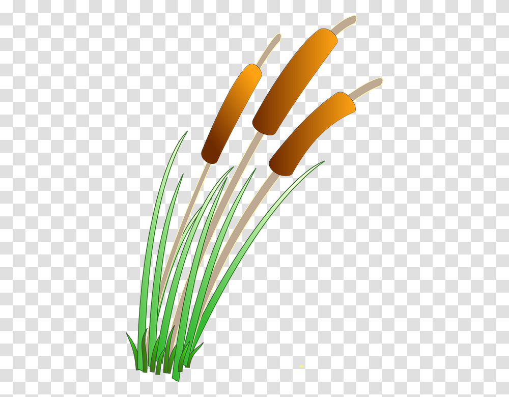 Image, Plant, Wire, Cable, Electronics Transparent Png