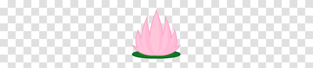 Image, Pond Lily, Flower, Plant, Blossom Transparent Png