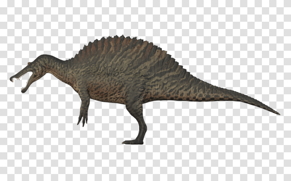 Image, Reptile, Animal, Dinosaur, T-Rex Transparent Png