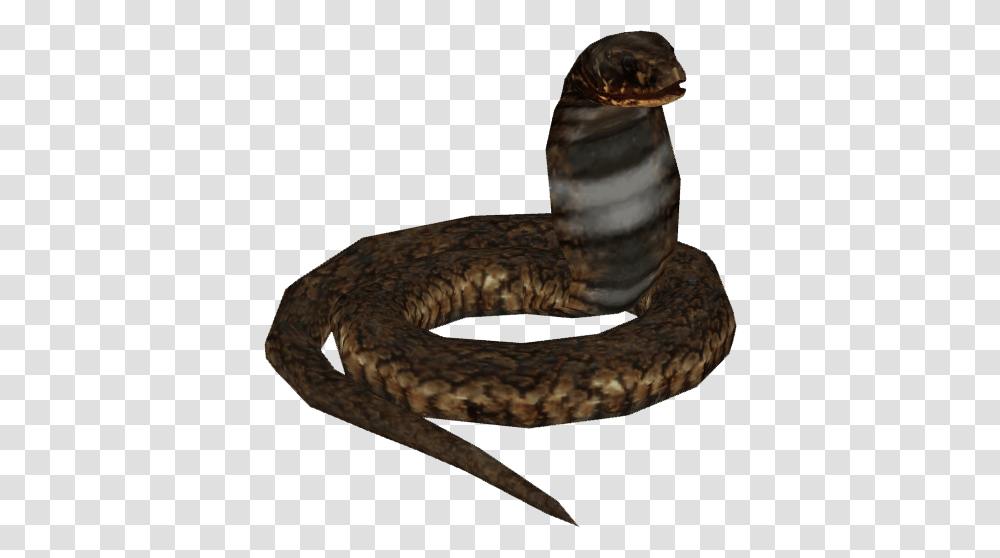 Image, Reptile, Animal, Snake, Cobra Transparent Png
