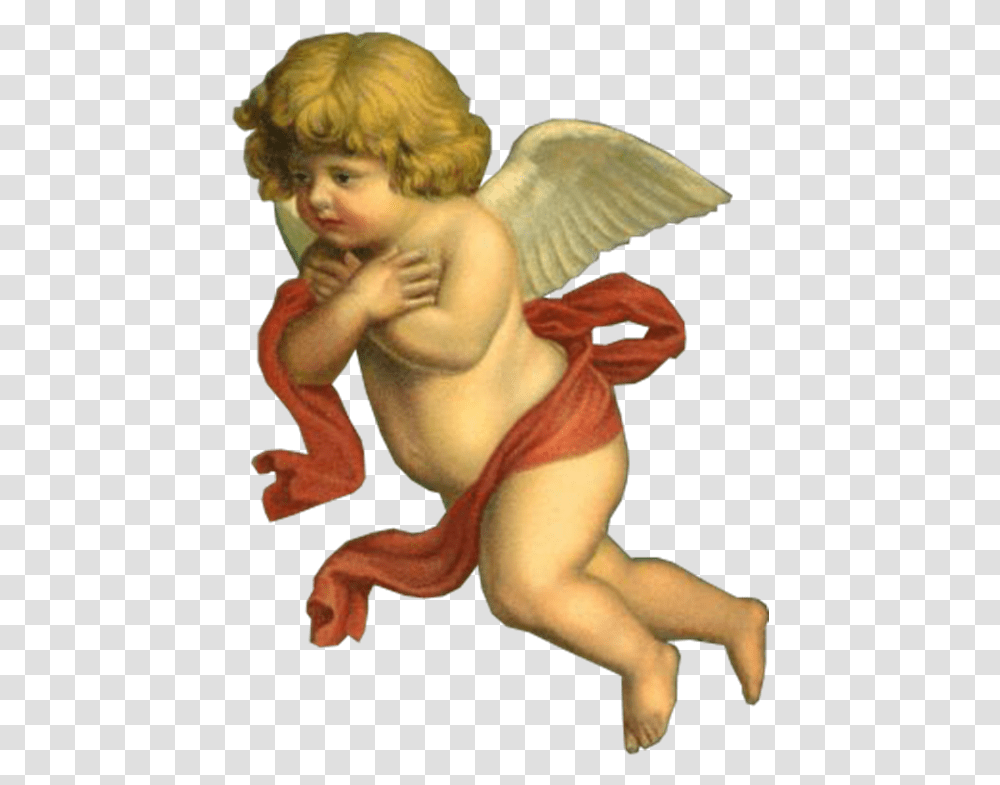 Image Result For Angels Cherubs Cherub Angel, Person, Human, Cupid Transparent Png