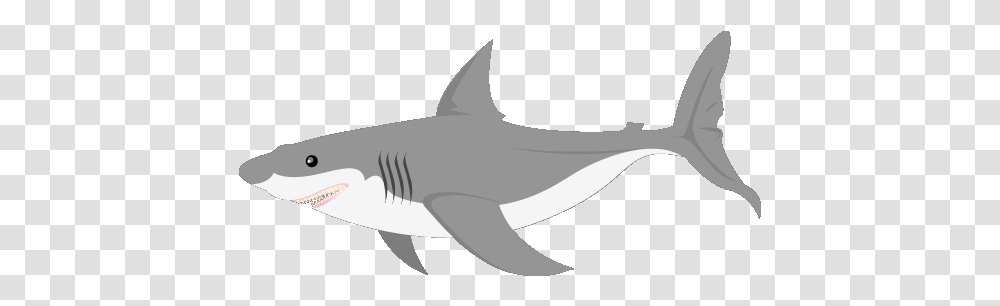 Image Result For Animated Gray Fish Gif Animated Background Shark Gif, Sea Life, Animal, Great White Shark Transparent Png